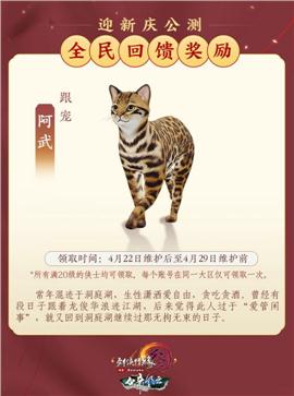天龙八部私服兴起